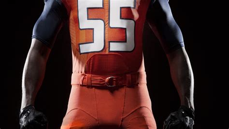 Inclusivity and Tradition: The Story Behind the new Illini Mascot Design